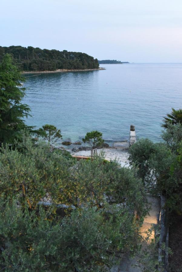 Buric House - M Suite - 95M2 And 54 M2 Terrace Rovinj Bagian luar foto